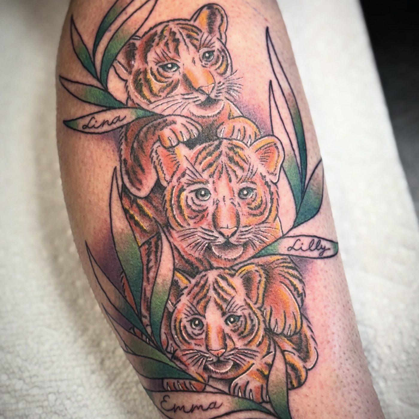 Jesse's work