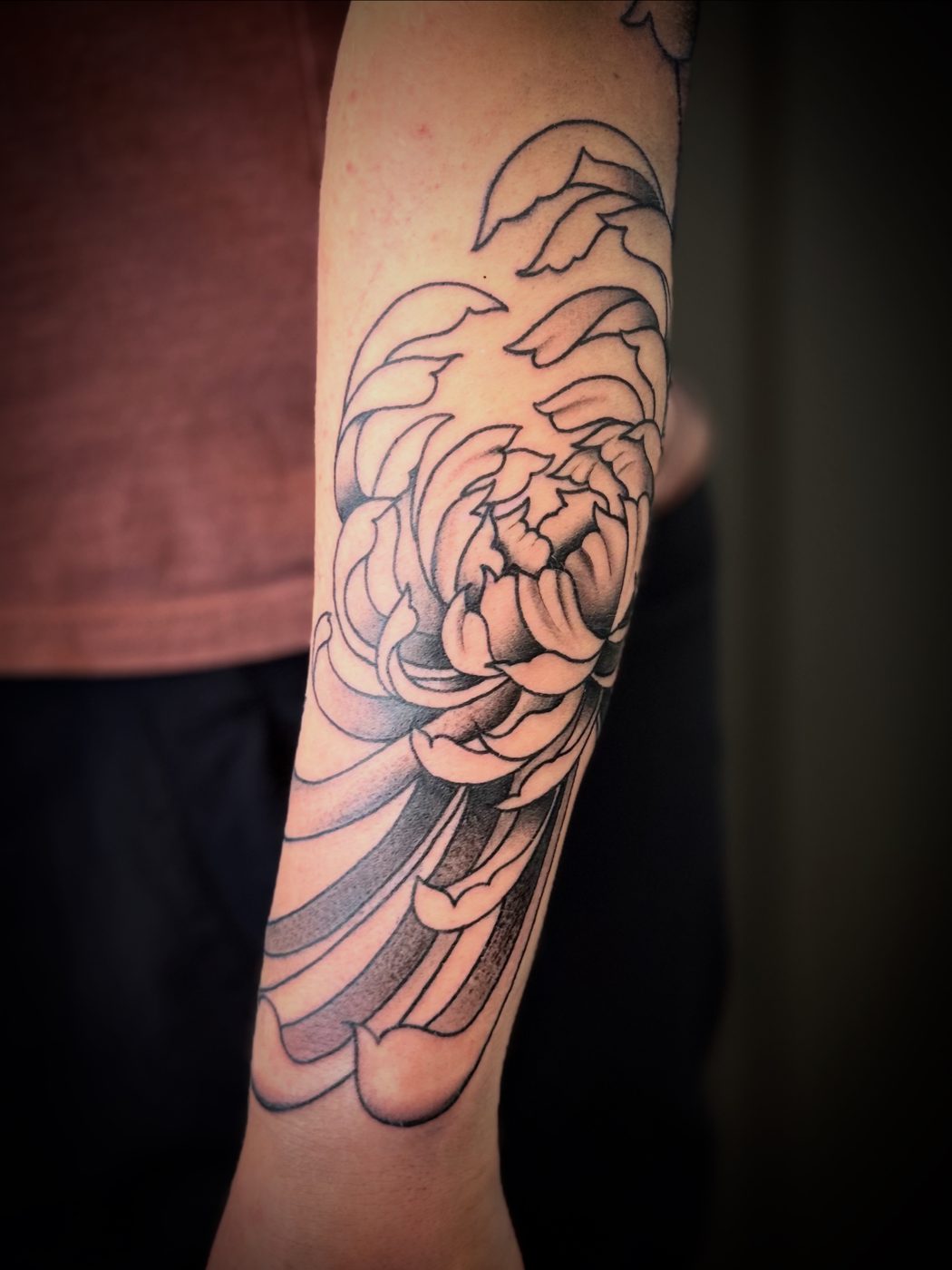 Jesse's work